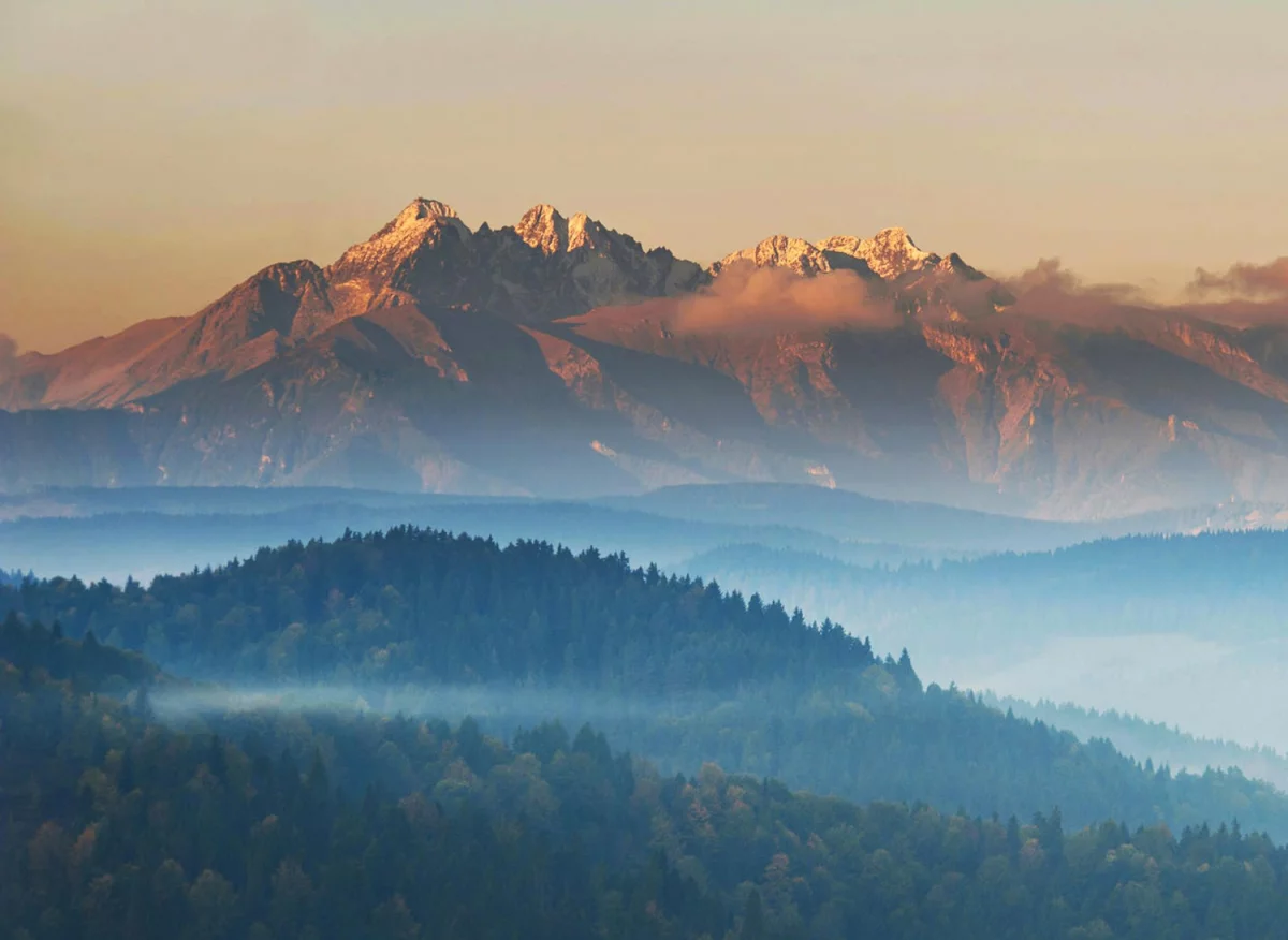 Szukam 9 Osób, Którym Przekażę Rozwiązanie Jak zrobić marketing