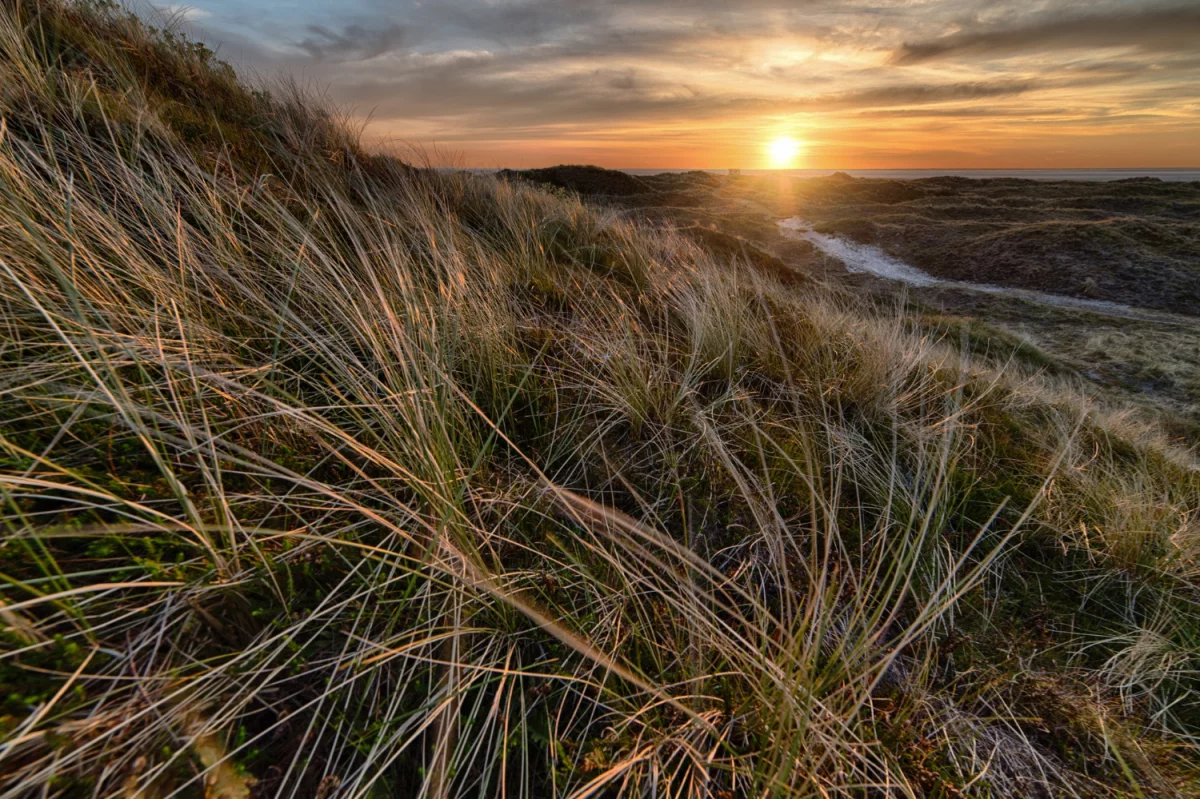 Krótko o kartkach okolicznościowych