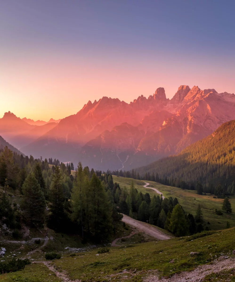 Oto Plan Od A Do Z Aby kupić artykuł sponsorowany W 4 Dni